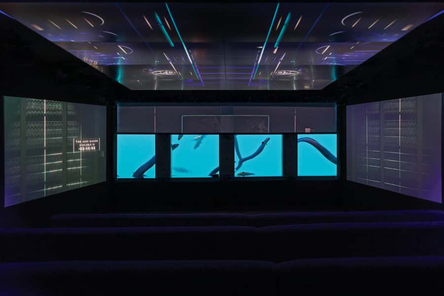Queenstown: Hidden Underwater Theatre Experience - A time machine beneath Queenstown’s pier