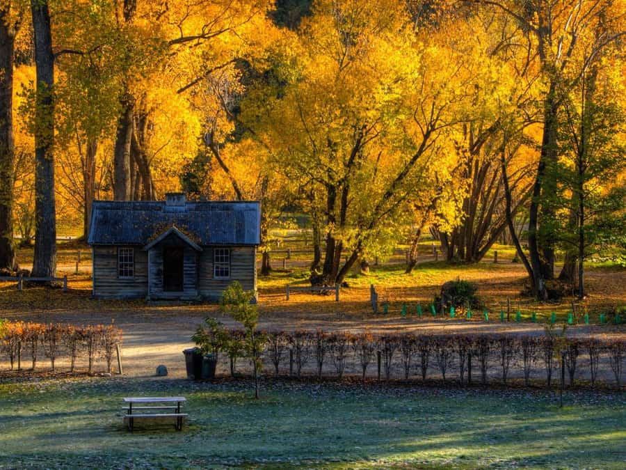 Queenstown: Highlights Tour with Wine Tasting - Why This Three-Hour Route Works