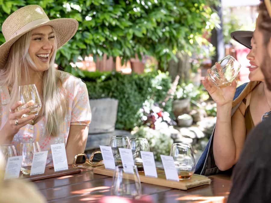 Queenstown: Highlights Tour with Wine Tasting - AJ Hackett Kawarau Bridge and the Bungy Birthplace