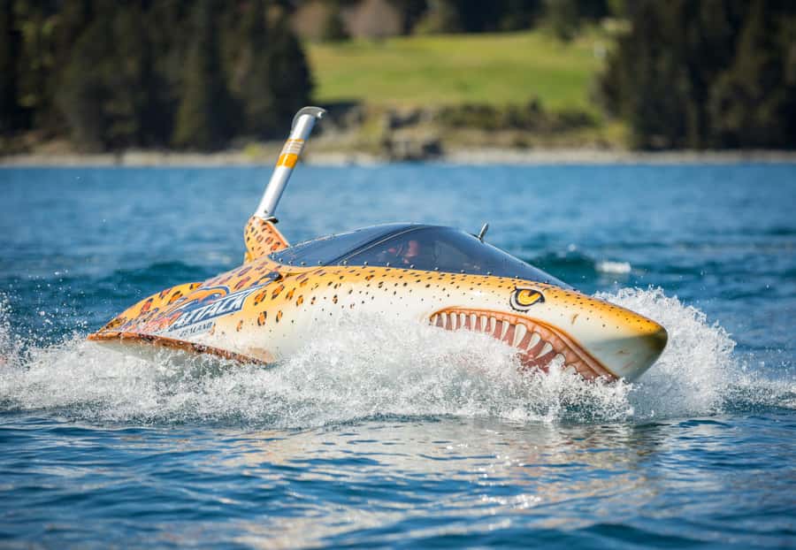 Queenstown: Hydro Attack Shark Ride - Key points to know before you book