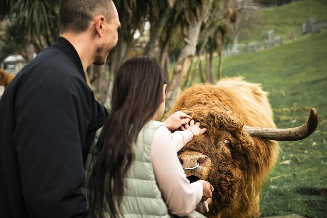 Queenstown Lake Cruise and Walter Peak Farm Adventure - Key points to know before you book
