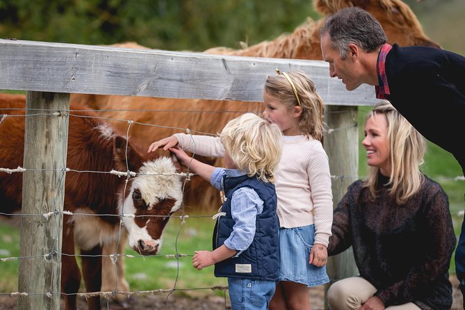 Queenstown Lake Cruise and Walter Peak Farm Adventure - How the $83.78 price measures up