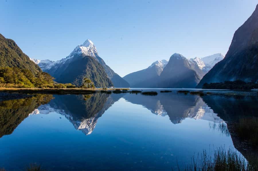 Queenstown: Milford Sound Cruise & Helicopter Alpine Tour - Touching down at Milford Sound