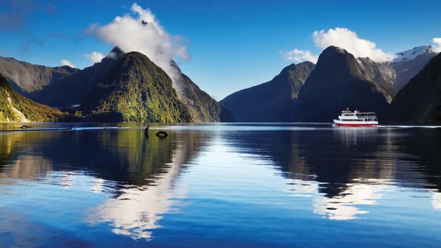 Queenstown: Milford Sound Day Trip - Cruise & Picnic Lunch - Key points at a glance