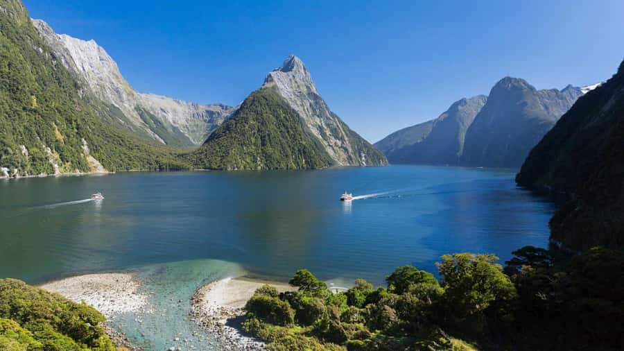 Queenstown: Milford Sound Day Trip - Cruise & Picnic Lunch - Is $232 good value?