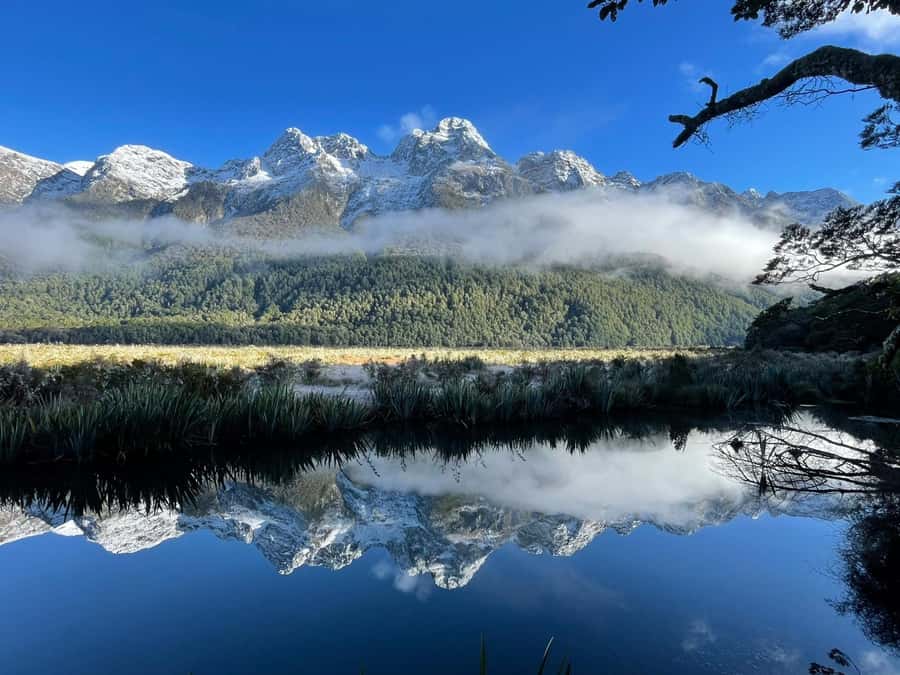 Queenstown: Milford Sound Small-Group Tour w Cruise & Lunch - The optional flight home changes the value equation