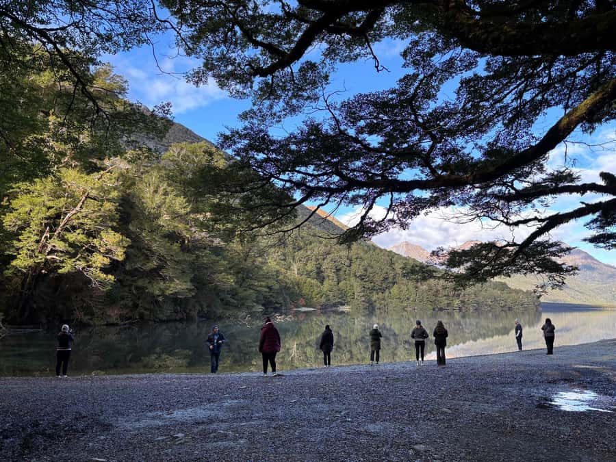 Queenstown: Milford Sound Small-Group Tour w Cruise & Lunch - Mirror Lakes are small, calm, and highly photogenic