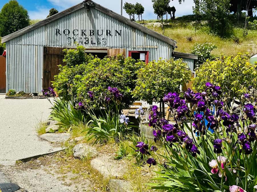 Queenstown More Than A Wine Tour (Private) - Why this Queenstown tour is different