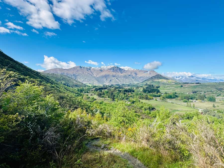 Queenstown More Than A Wine Tour (Private) - Cardrona Hotel, mulled wine, and marshmallows