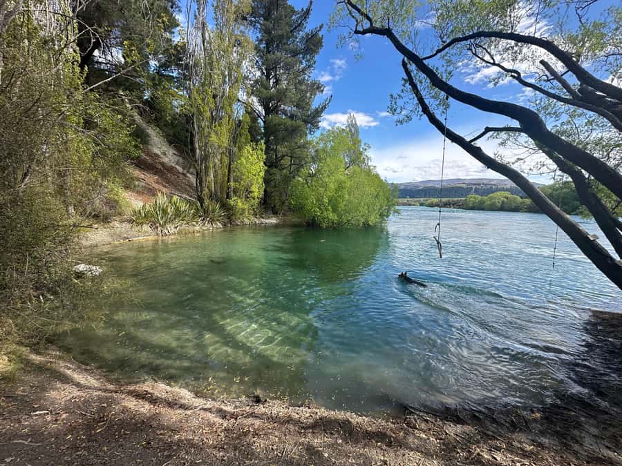Queenstown More Than A Wine Tour (Private) - Turning the day into a snow outing