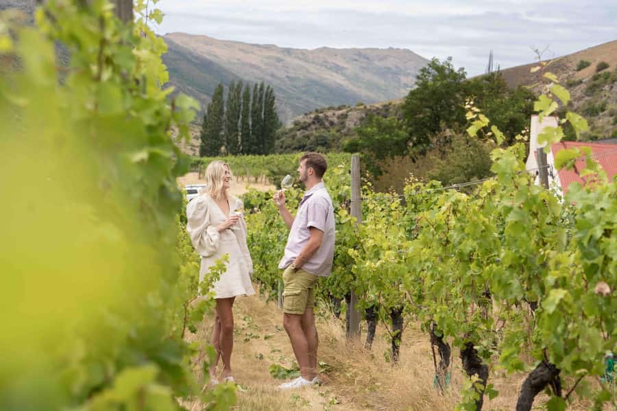 Queenstown: Original Premium Half-Day Gibbston Wine Tour - First two tastings: compare before you choose
