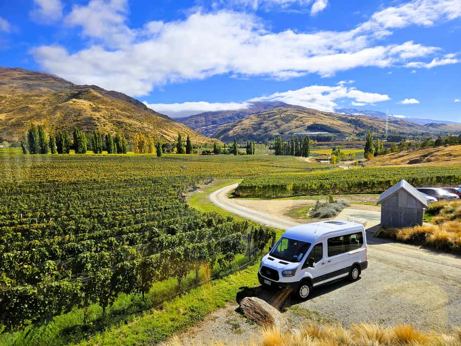 Queenstown: Premium Full-Day Central Otago Wine Tasting Tour - Kinross begins the tasting day