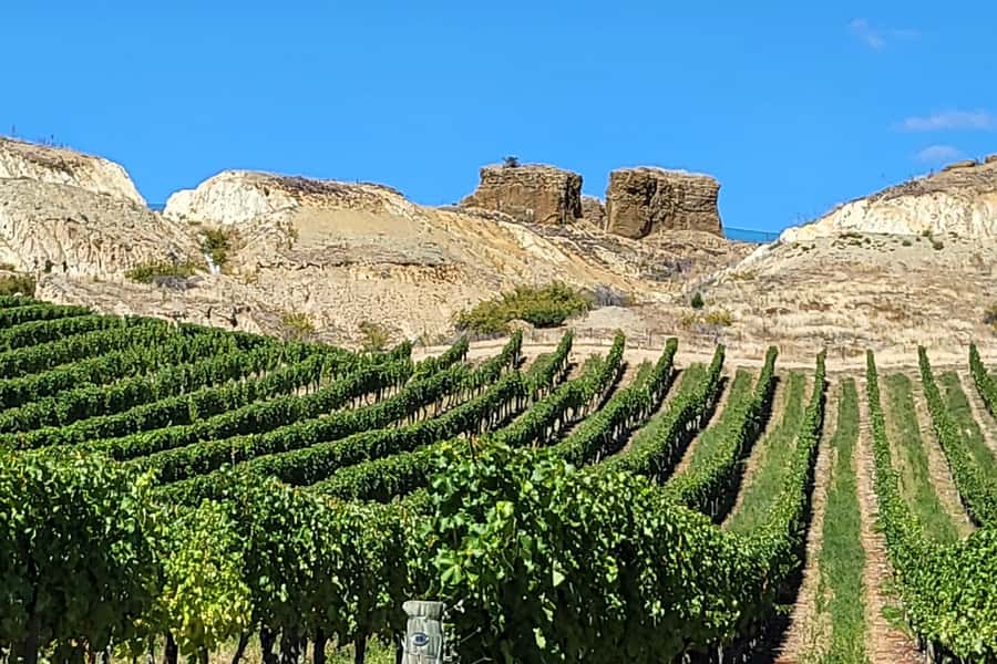 Queenstown: Premium Full-Day Central Otago Wine Tasting Tour - Te Kano offers another point of comparison