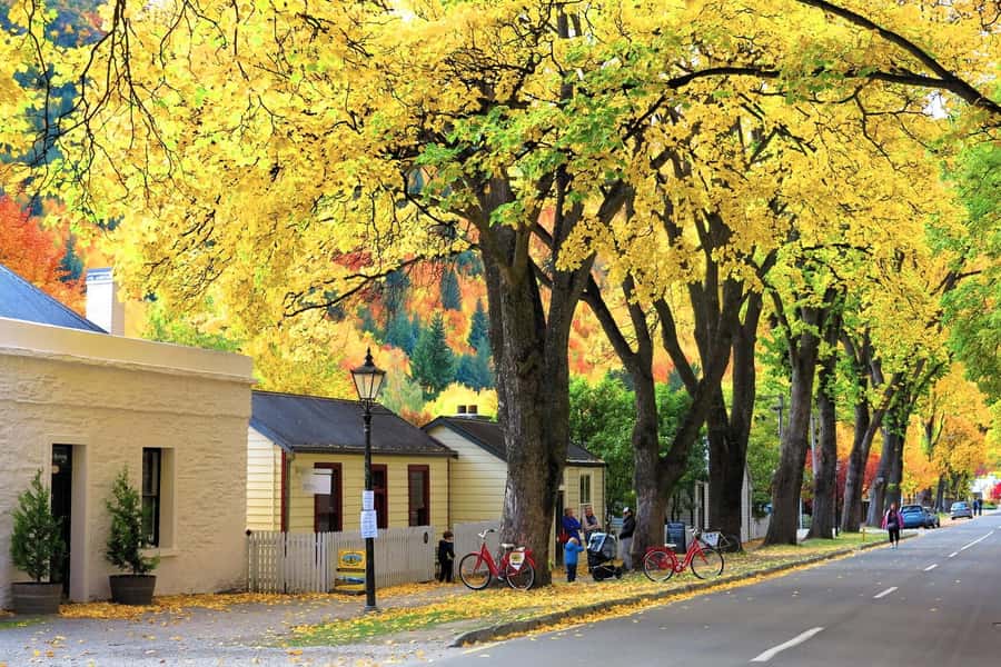 Queenstown: Premium Full-Day Central Otago Wine Tasting Tour - Who will get the most from this tour
