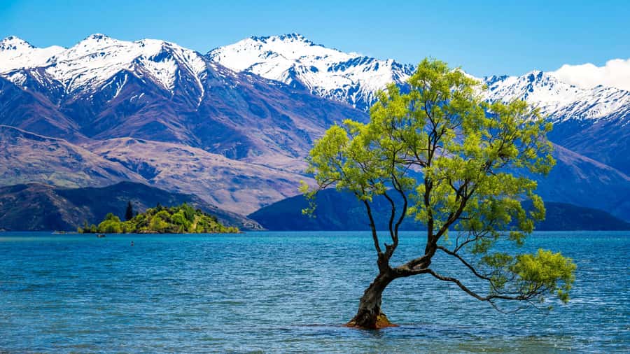 Queenstown: Private Day Trip to Wanaka, Arrowtown & More - Key points at a glance