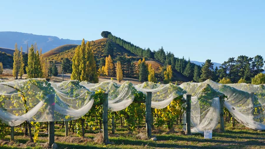 Queenstown: Private Day Trip to Wanaka, Arrowtown & More - Lake Dunstan and the Otago country