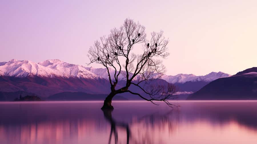 Queenstown: Private Day Trip to Wanaka, Arrowtown & More - Arrowtown and the road through the Crown Range