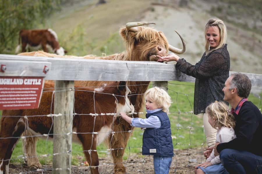 Queenstown: Queenstown Lake Cruise and Walter Peak Farm Tour - Key things to know before you book