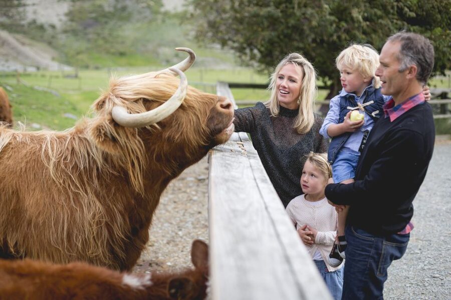 Queenstown: Queenstown Lake Cruise and Walter Peak Farm Tour - Who should book this farm and lake combination?