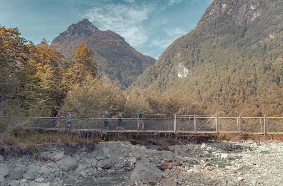 Queenstown: Routeburn Track Guided Full-Day Walk or Half Day - Beech Forest, River, and the First Trail Views