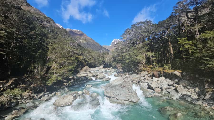 Queenstown: Routeburn Track Guided Full-Day Walk or Half Day - Picnic Lunch and Trail-Day Practicalities