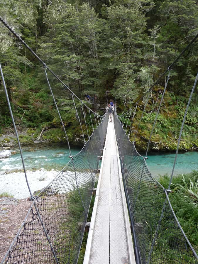 Queenstown: Routeburn Track Guided Full-Day Walk or Half Day - Price, Group Size, and Overall Value