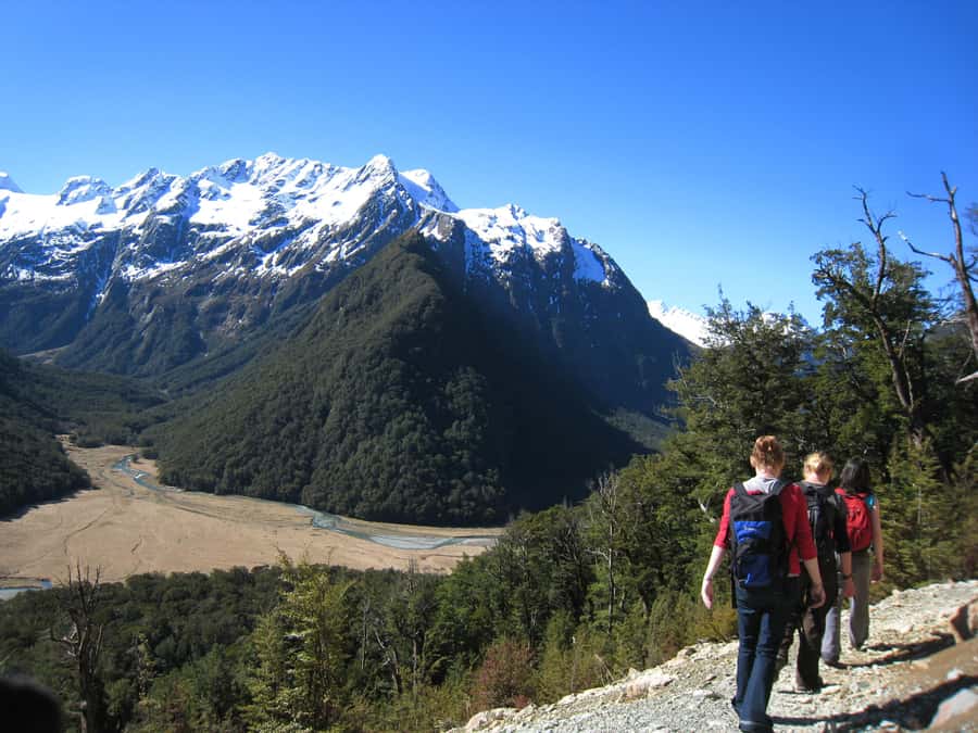 Queenstown: Routeburn Track Guided Full-Day Walk or Half Day - The Full-Day Walk to Falls Hut