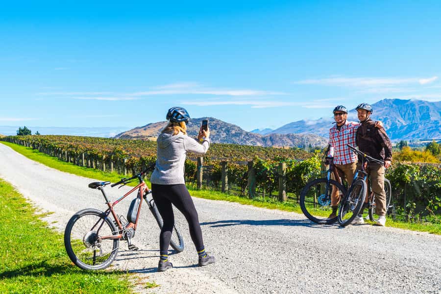 Queenstown: Self-Guided Gibbston Valley Wineries Bike Tour - Choosing between a standard bike and an e-bike
