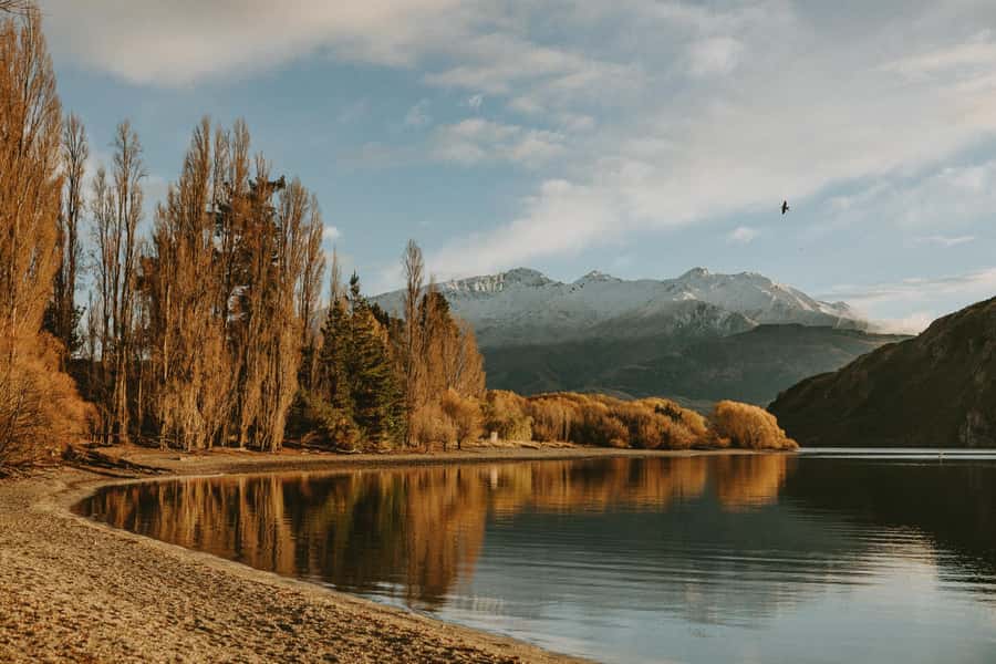 Queenstown to Christchurch via Franz Josef 2-Day Tour - Castle Hill and the final run into Christchurch