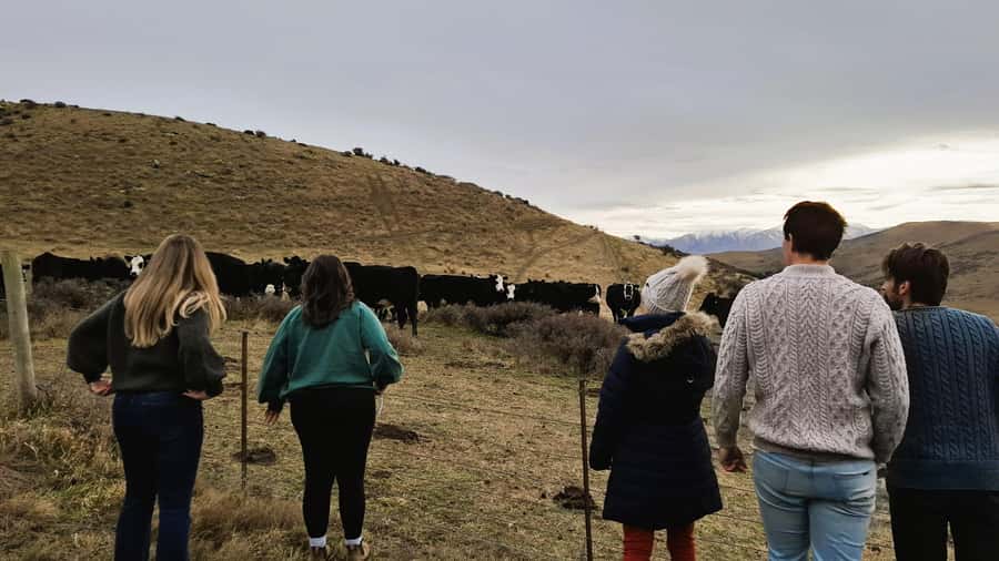 Queenstown to Dunedin Incl Taieri Gorge Train (One-Way) - Pukerangi and the change to rail