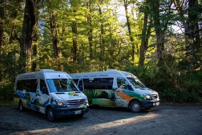 Queenstown to Te Anau via Milford Sound inc Cruise & Lunch - Why this Queenstown to Te Anau route works