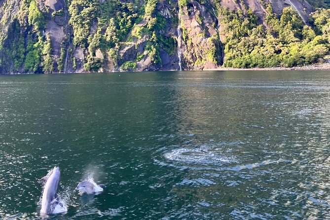 Queenstown to Te Anau via Milford Sound inc Cruise & Lunch - Lunch, snacks, and the long ride to Te Anau