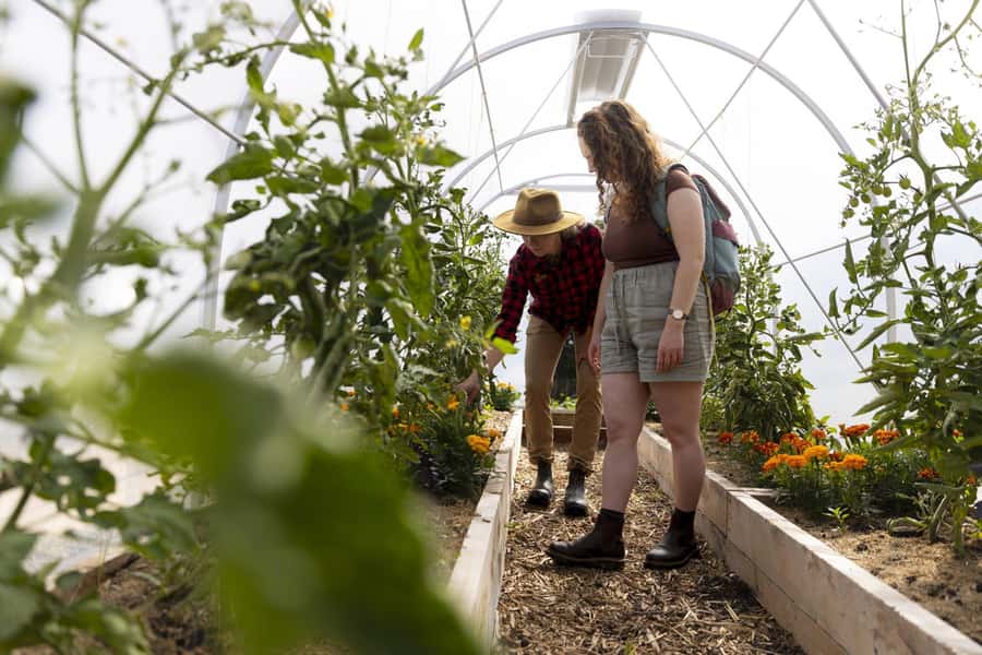Queenstown: Walter Peak Garden to Table Experience - Who should book this experience?