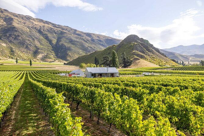 Queenstown Wine & Food Tour: Scenery, Tastings & Delicious Lunch! - Kinross for the main event