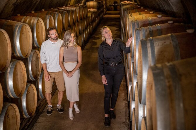 Queenstown Wine & Food Tour: Scenery, Tastings & Delicious Lunch! - Wine quantity, pace, and the social side