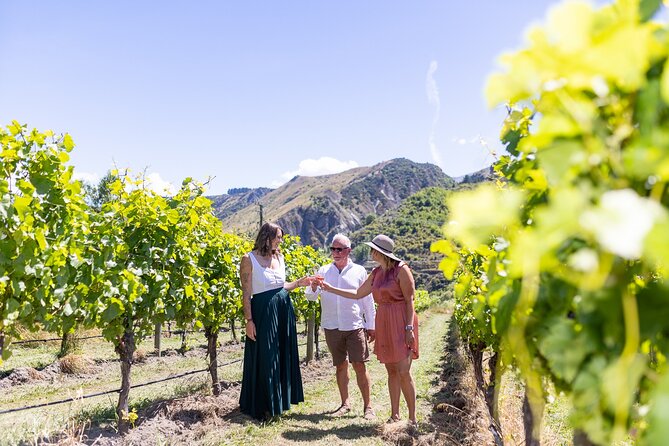 Queenstown Wine Tour - Wineries, lunch, beer, and gin without pressure