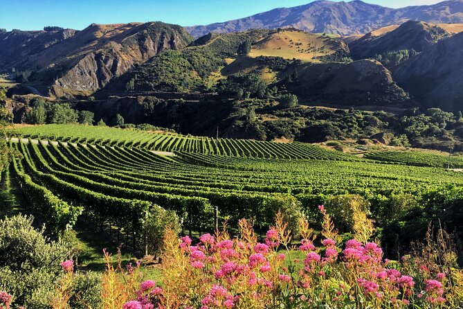 Queenstown Wine Tour - Timing, drop-offs, and small details that matter
