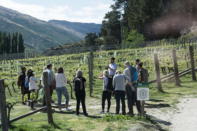 Queenstown Wine Tour - Gibbston Valley Cave | Kinross | Amisfield - Six things to know before you book