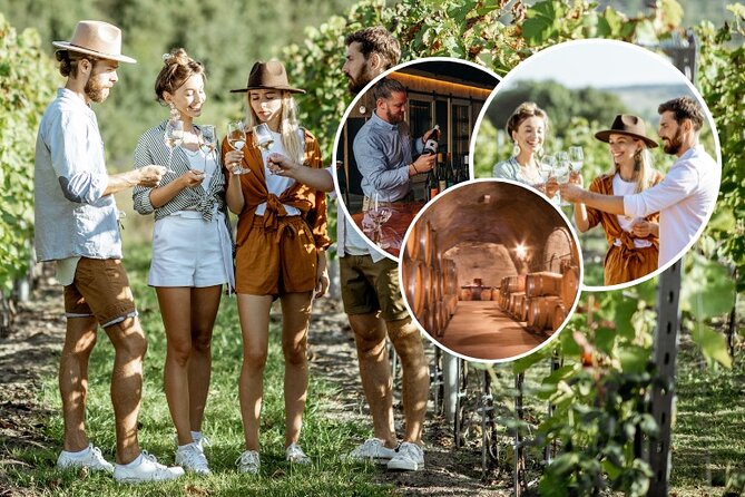 Queenstown Wine Tour - Gibbston Valley Cave | Kinross | Amisfield - Kinross: a serious tasting and a paid lunch