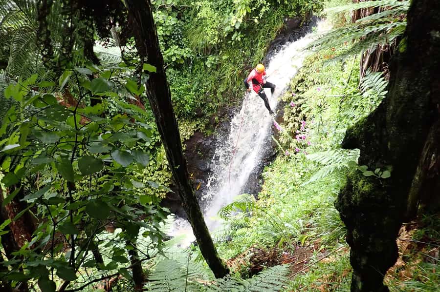 Raglan: Karioi Canyoning - Into the canyon: water, rock, and native bush