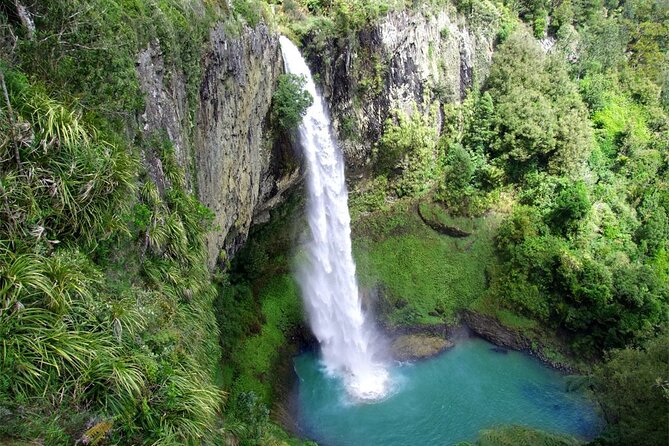 Raglan New Zealand Adventure Tour from Auckland - Five things to know before booking