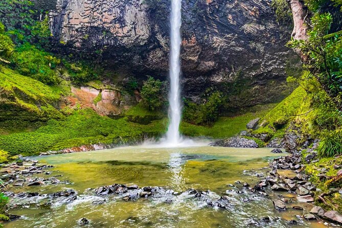 Raglan New Zealand Adventure Tour from Auckland - The road to Bridal Veil Falls