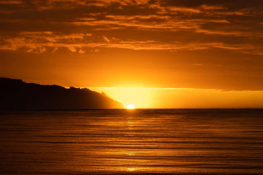Raglan: Scenic Harbour Sunset Cruise - Who will enjoy this cruise most