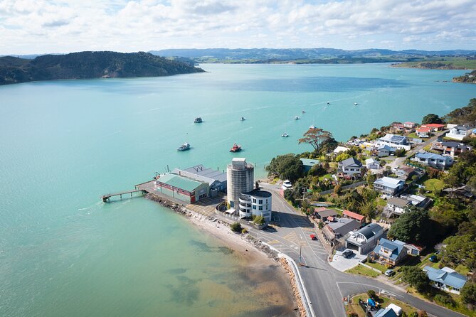 Raglan: Scenic Nature Boat Cruise - Is $38 good value for 90 minutes?