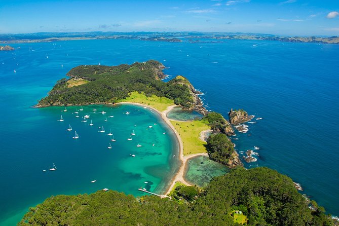 Redwood Forest , Blue Springs & Huka Falls Day Tour from Auckland - Redwood Forest in Rotorua