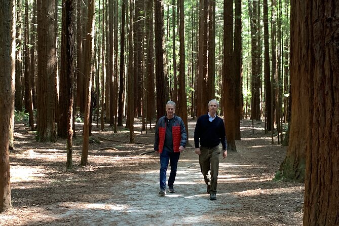 Redwood Forest , Blue Springs & Huka Falls Day Tour from Auckland - The long return to Auckland