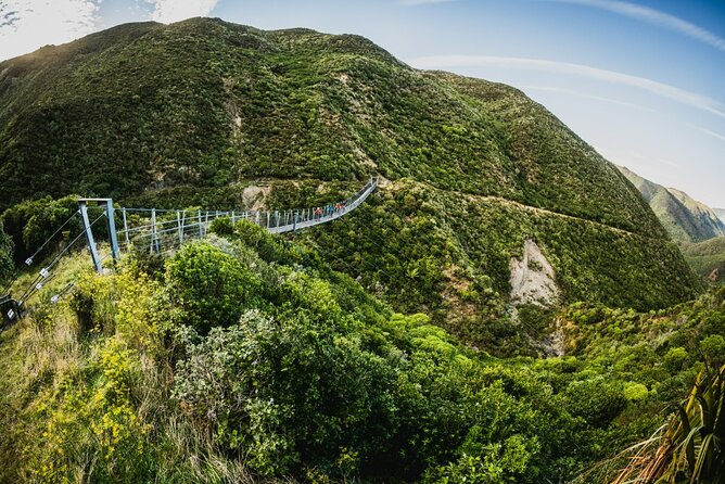 Remutaka Rail Trail Mountain Bike Explorer Cycle Tour - Key points at a glance