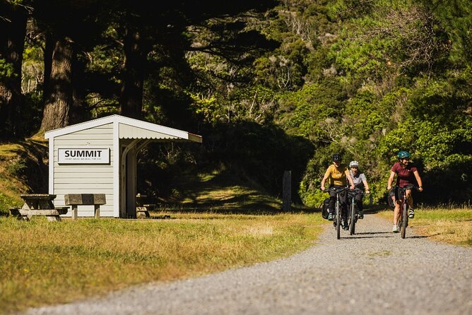 Remutaka Rail Trail Mountain Bike Explorer Cycle Tour - Why this rail trail makes a good Wellington outing