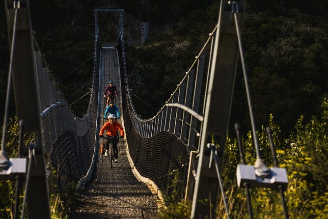 Remutaka Rail Trail Mountain Bike Explorer Cycle Tour - The summit picnic and the descent to Cross Creek