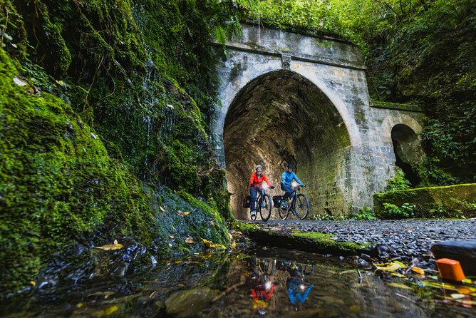 Remutaka Rail Trail Mountain Bike Explorer Cycle Tour - The climb rewards patience, not speed